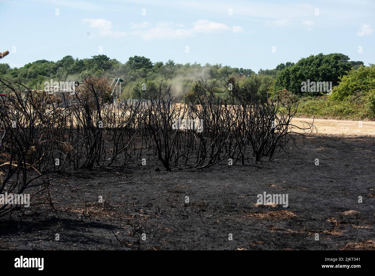 Aftermath of fire Pennington common drought July 2022 Stock Photo