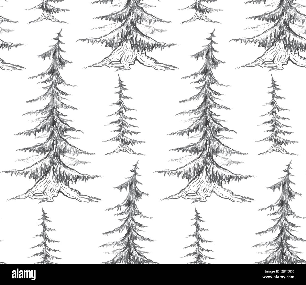 Vector seamless pattern with pencil sketch fir trees on a white ...