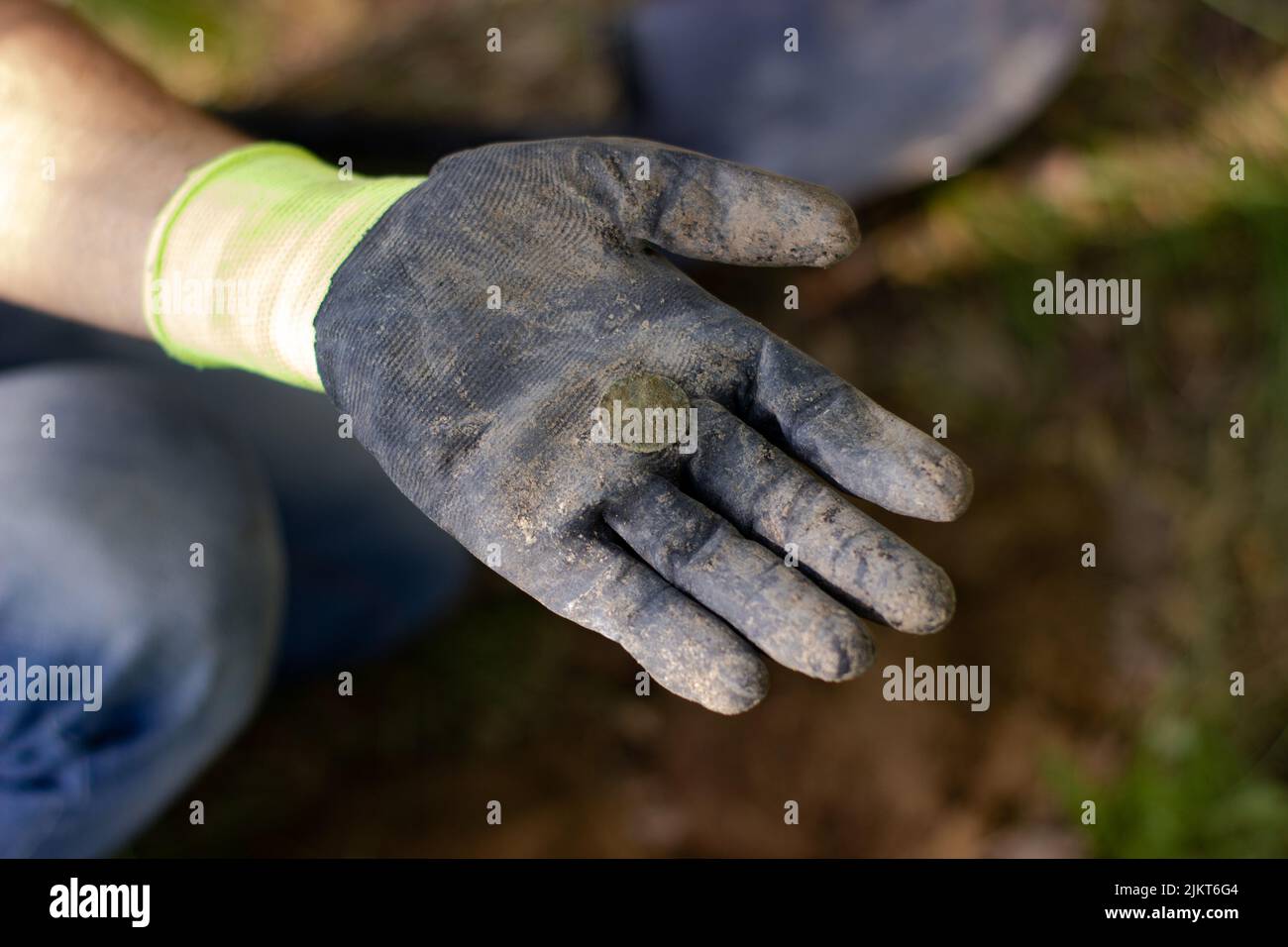 https://c8.alamy.com/comp/2JKT6G4/in-the-palm-of-a-glove-lies-an-old-coin-found-in-the-ground-in-a-park-using-a-wireless-metal-detector-2JKT6G4.jpg
