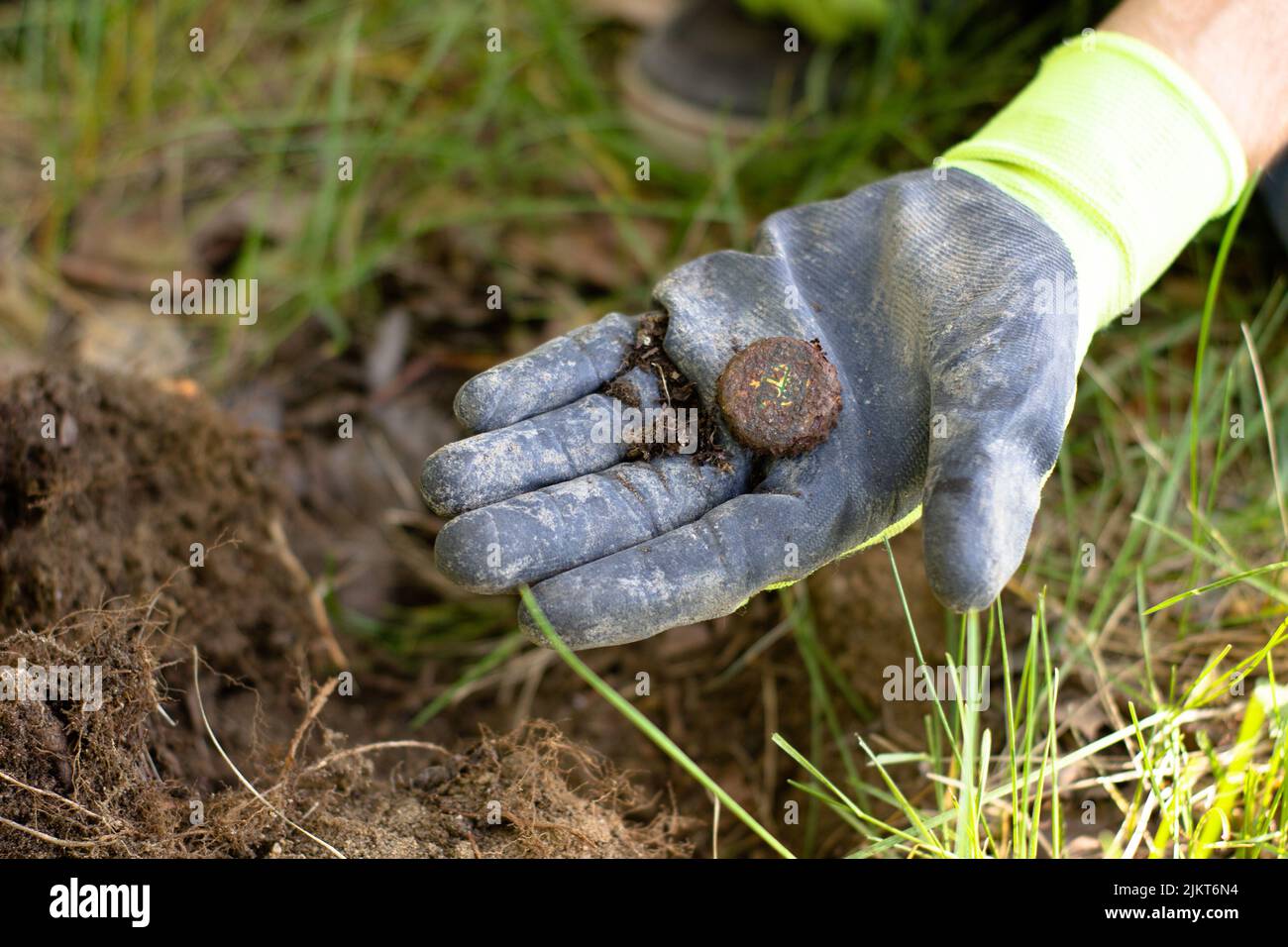 in the palm of a glove lies an old coin found in the ground in a park using a wireless metal detector Stock Photo