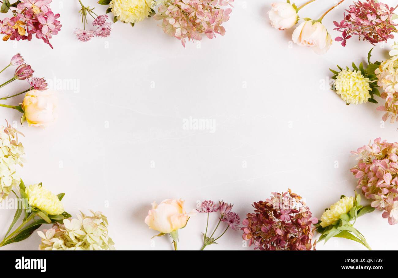 Autumn creative composition roses, hydrangea flowers on gray background. Fall, autumn background. Flat lay, top view, copy space Stock Photo
