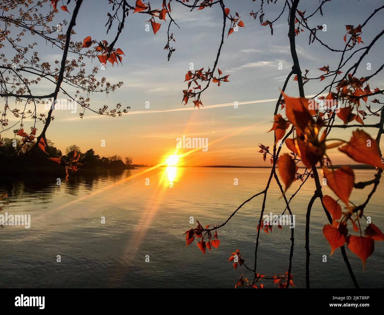Beautiful sunset view with red autumn leaves Stock Photo