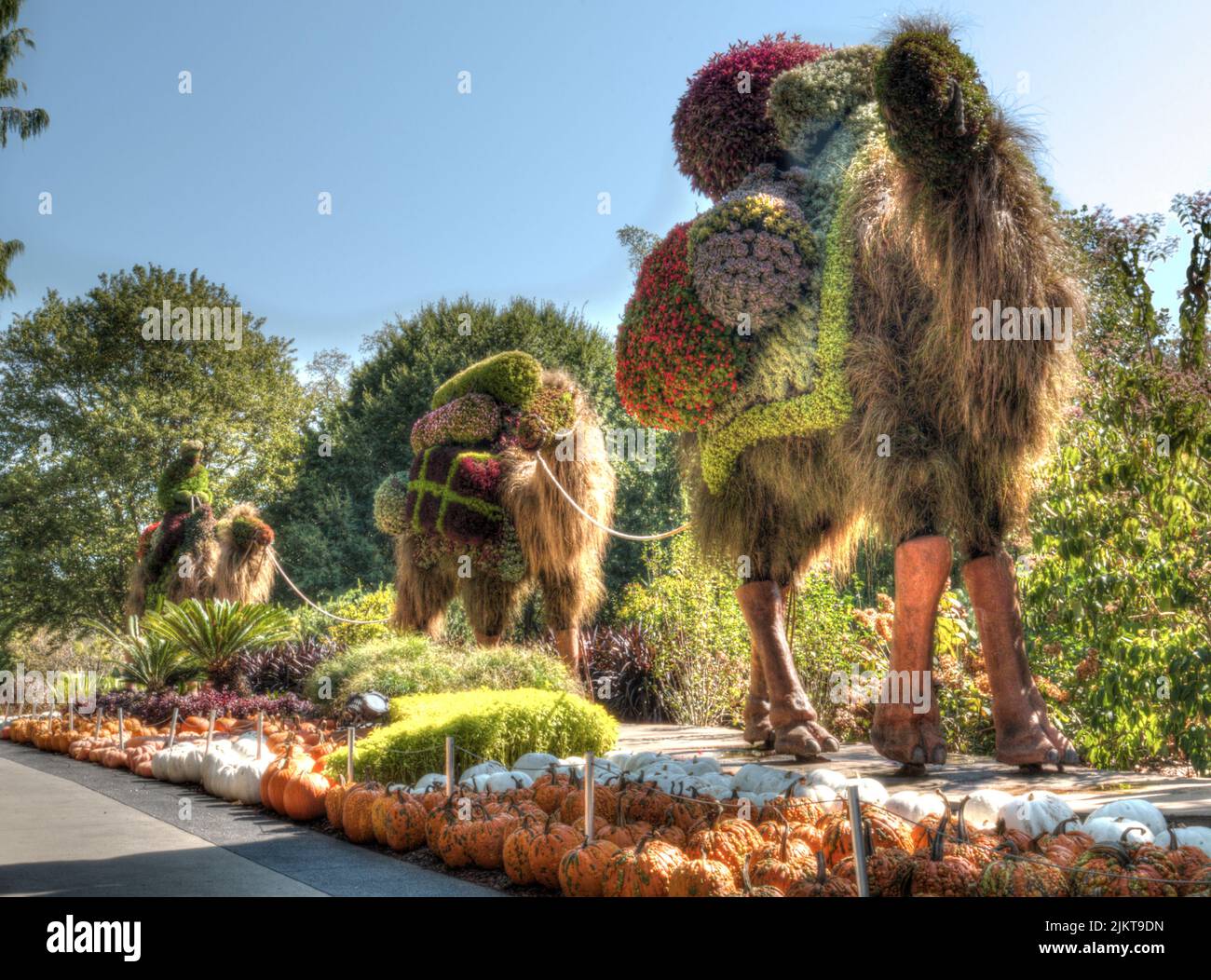 The Camel flower sculptures at the Atlanta Botanical Gardens in the USA Stock Photo