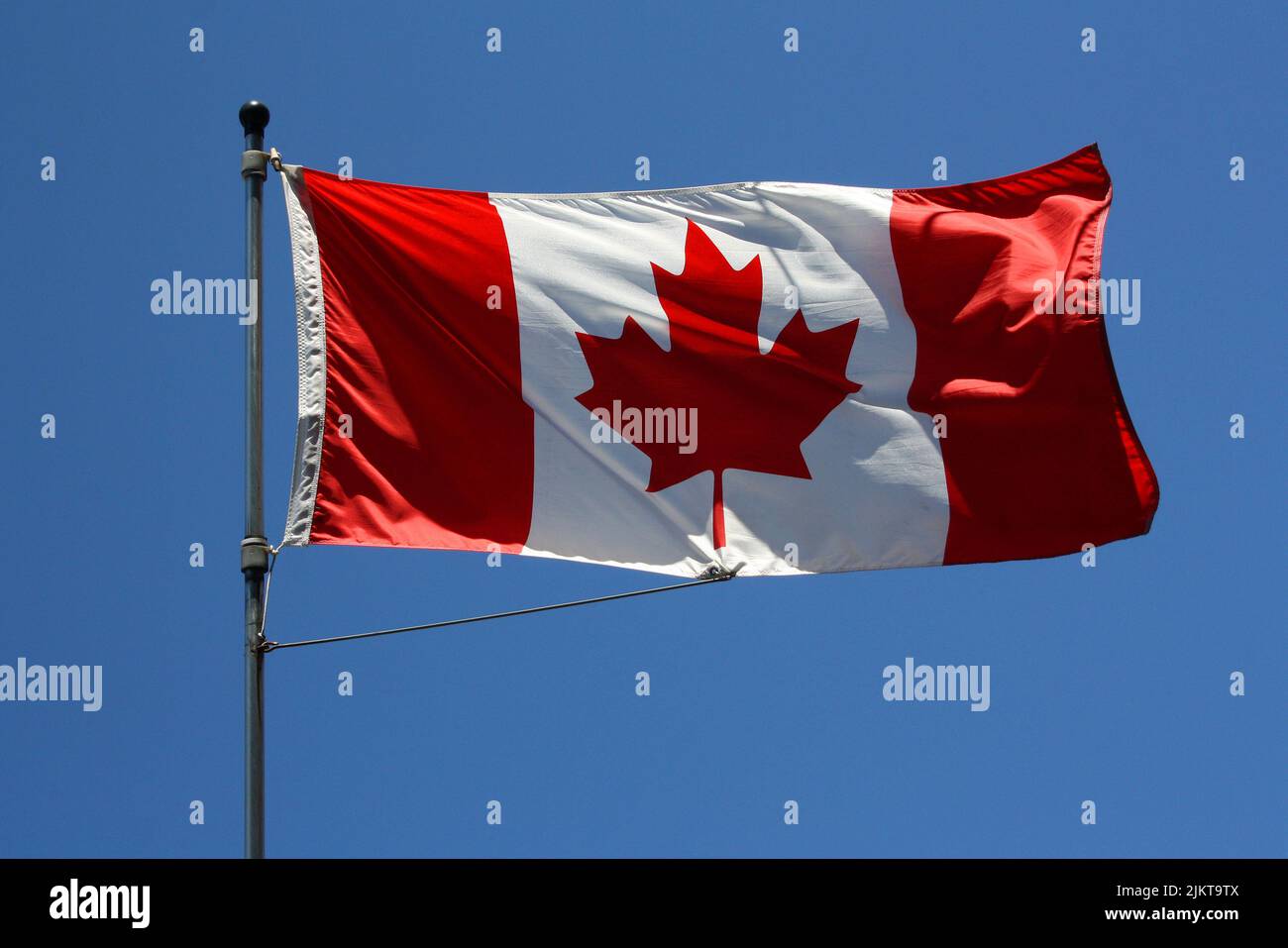 The flag of Canada waving against the blue sky Stock Photo Alamy