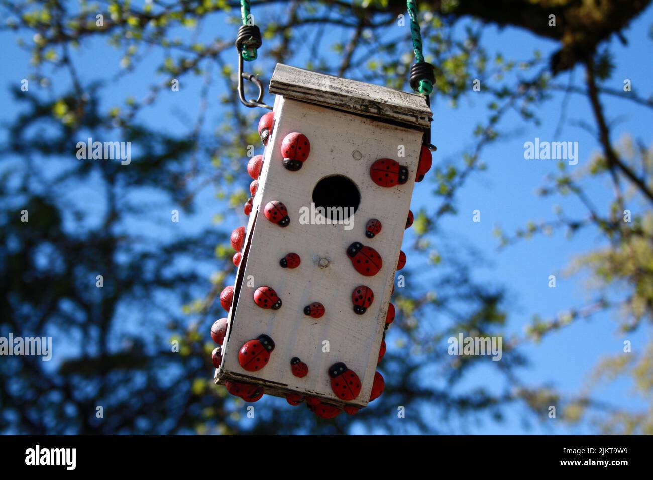 A wooden white bird house decorated with easteron the tree of downtown Vancouver, Canada Stock Photo