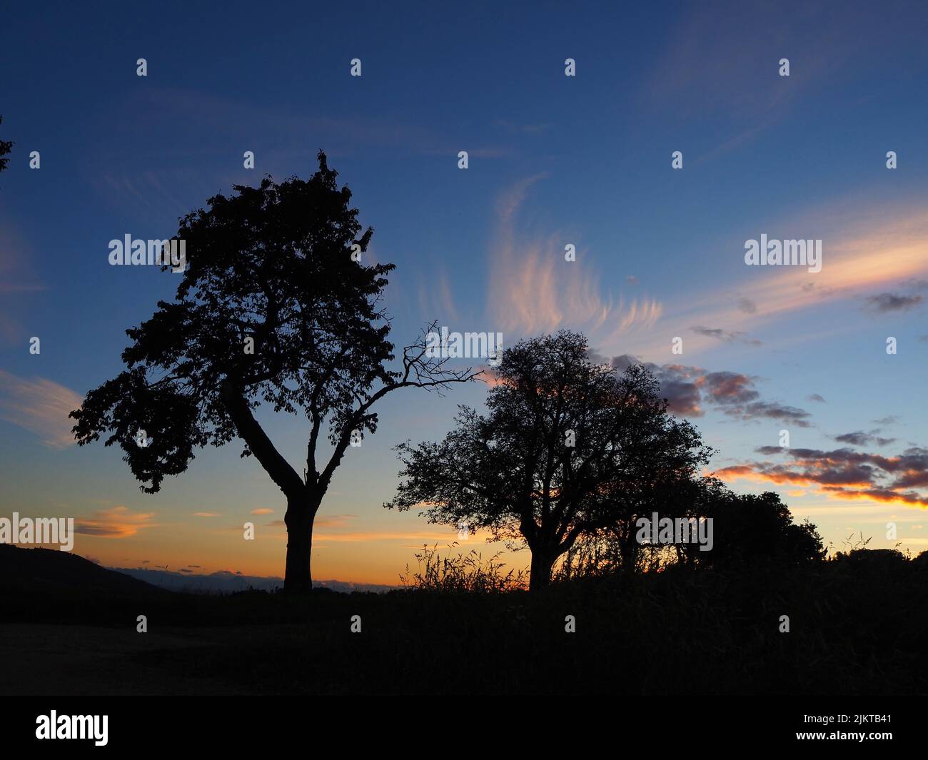 A silhouette of trees accompanied by cirrus and cumulus clouds in the backlight of the evening sun on a sunny autumn evenin Stock Photo