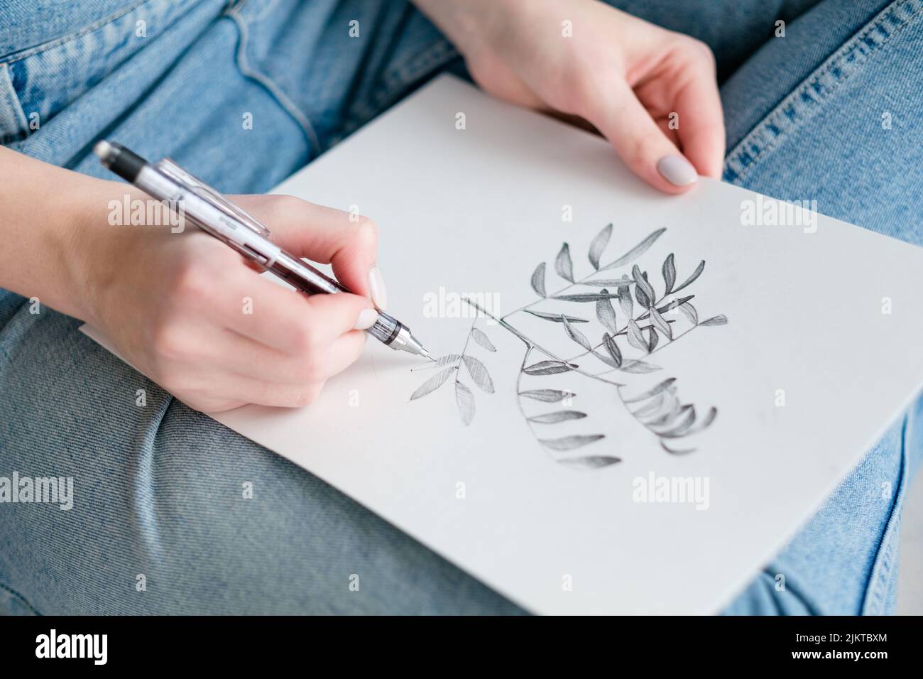 art painting inspiration herb drawing twig leaves Stock Photo - Alamy