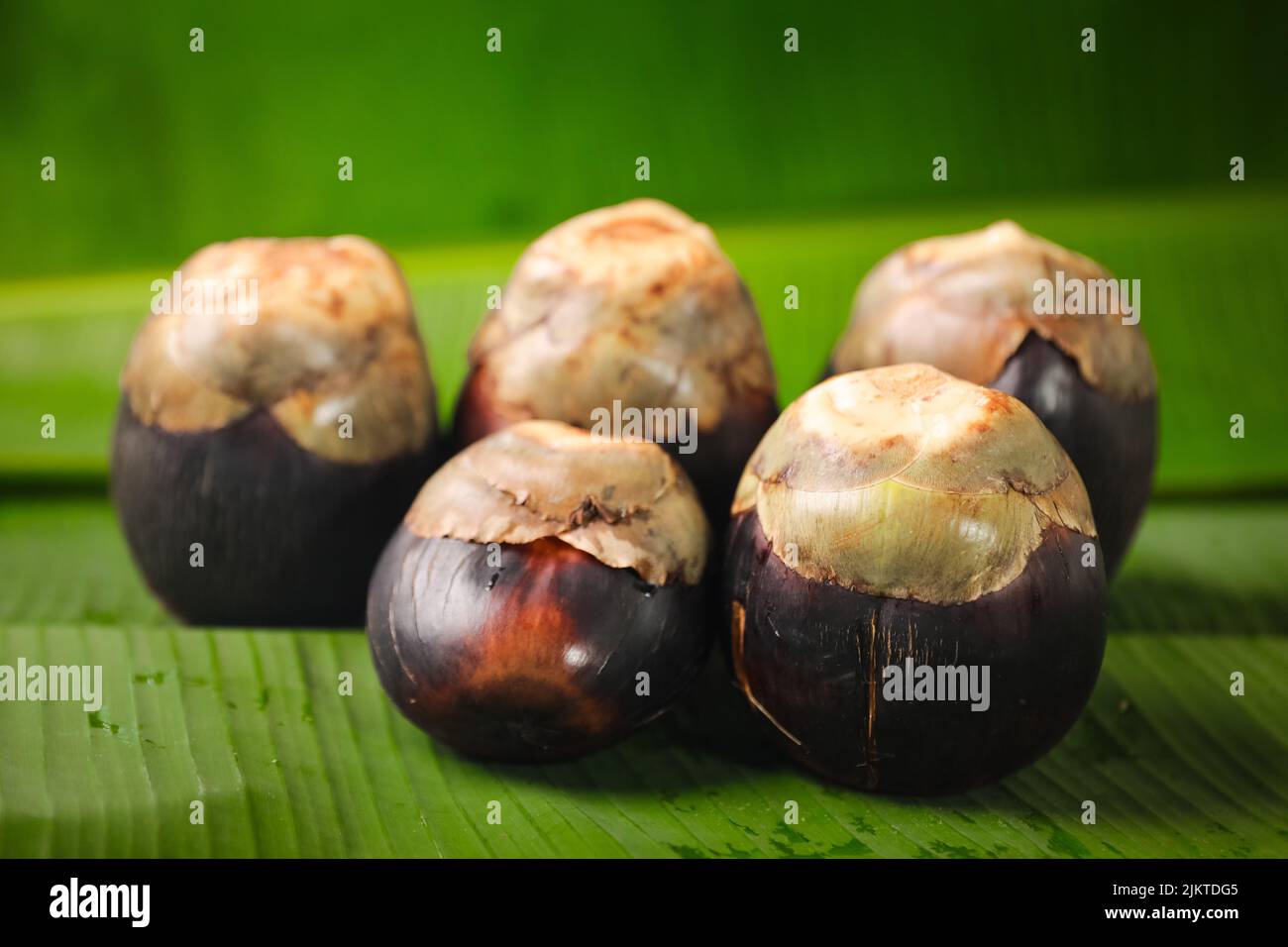 A closeup of gilled Chestnuts on a green surface Stock Photo