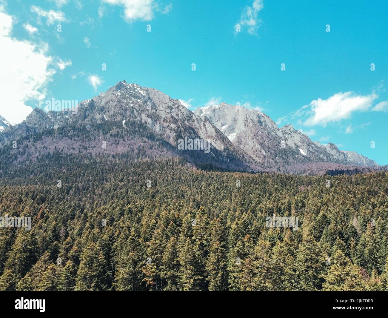 An aerial view of dense forest in background of huge mountains Stock ...