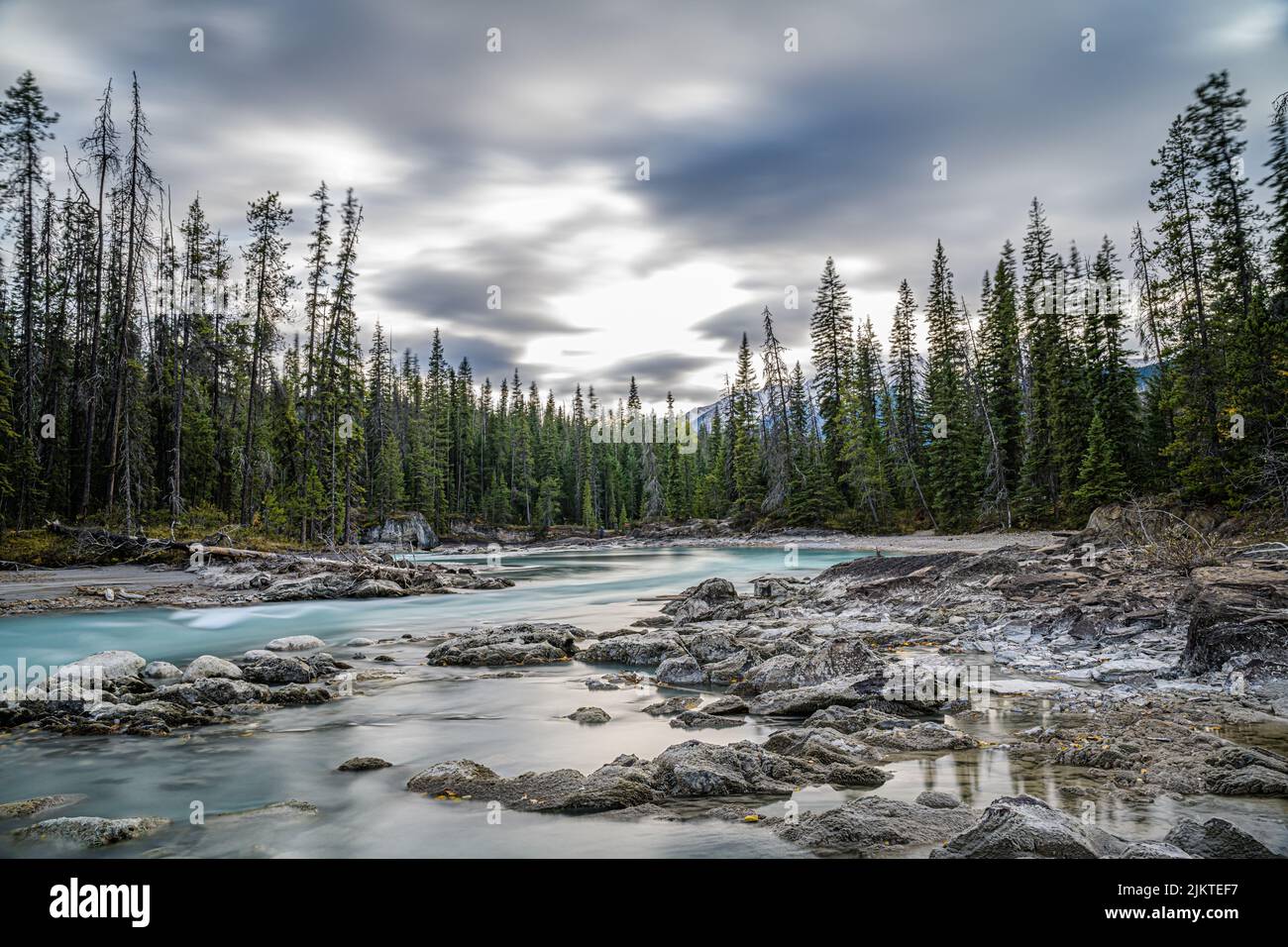 The river with rocks surrounded by pine trees. Canadian nature Stock ...