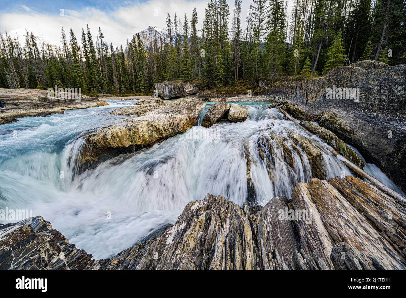 The river with rocks against the background of pine trees. Canadian ...