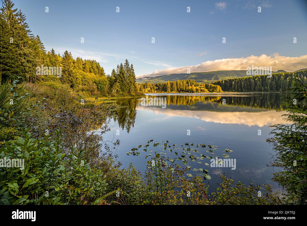 A mesmerizing view of a calm lake surrounded by trees in Canada Stock ...