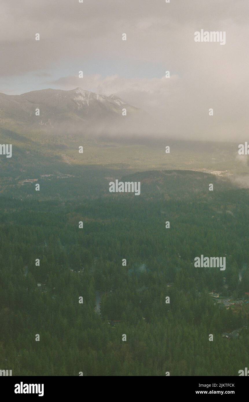 A vertical landscape with dense forest and rocky mountains covered by ...