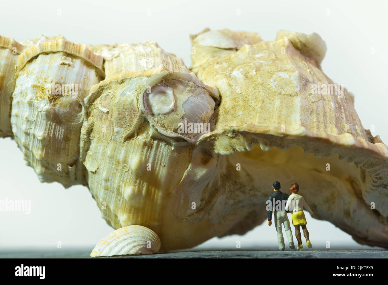 a couple stands under a giant sea snailhouse, closeup ,white background Stock Photo