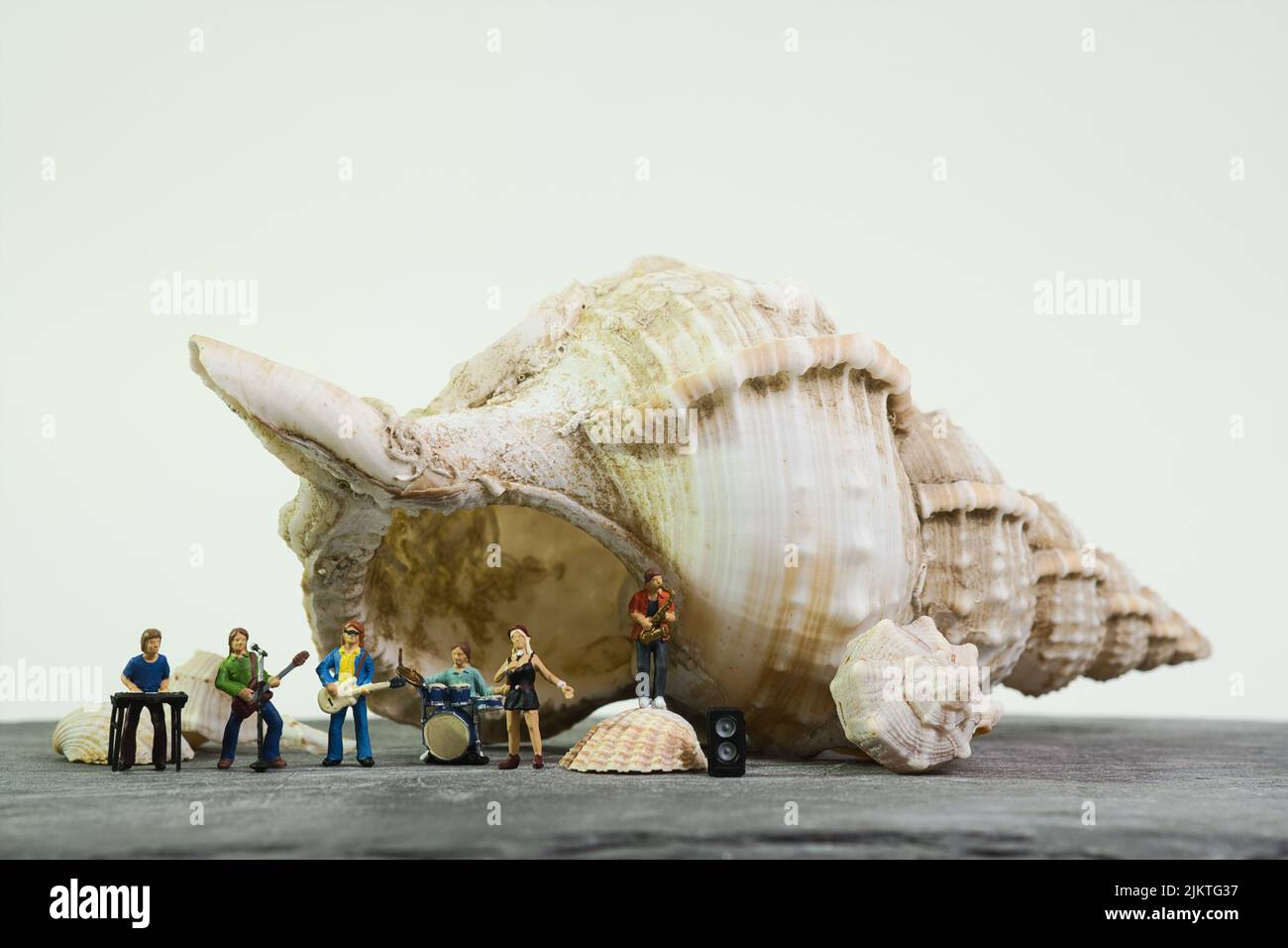 Music band in front of a giant conch shell, cool light background, copy