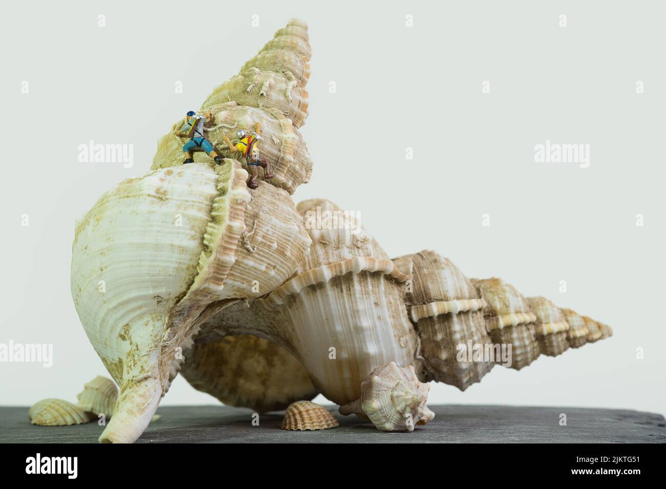 two climbers on a giant sea snail shell, white background Stock Photo