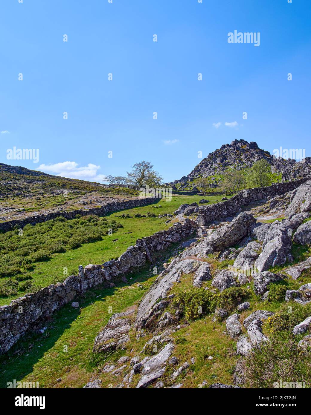 A green landscape with big beautiful rocks and a mountain Stock Photo ...