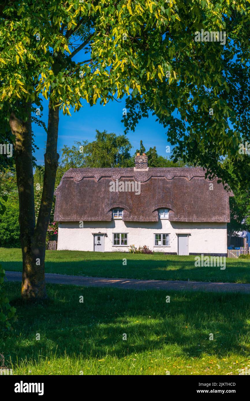 UK, England, Cambridgeshire, Barrington, Traditional thatched cottage Stock Photo
