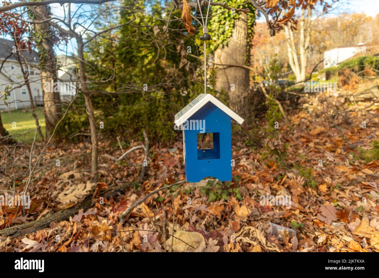 A beautiful shot of a blue wooden dog house in the middle of fallen leaves in a garden on a sunny day Stock Photo