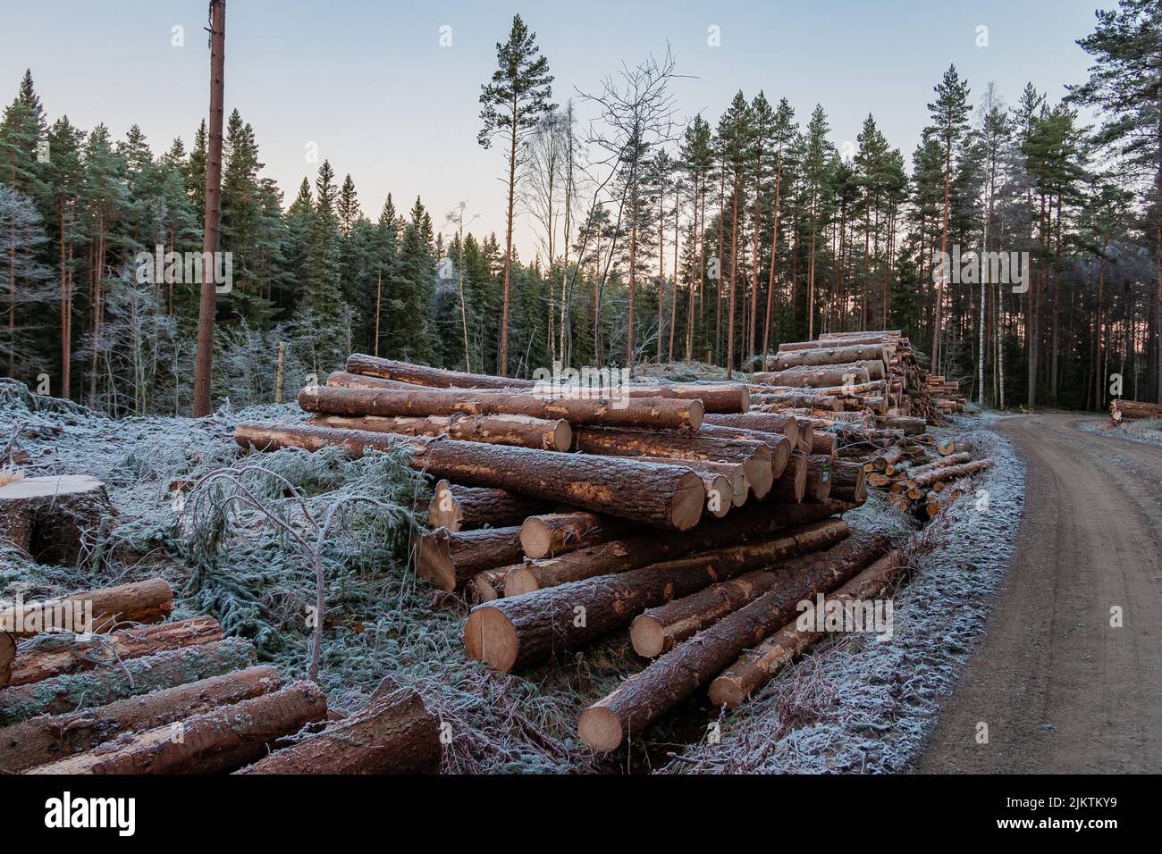 Tree harvester hi-res stock photography and images - Alamy