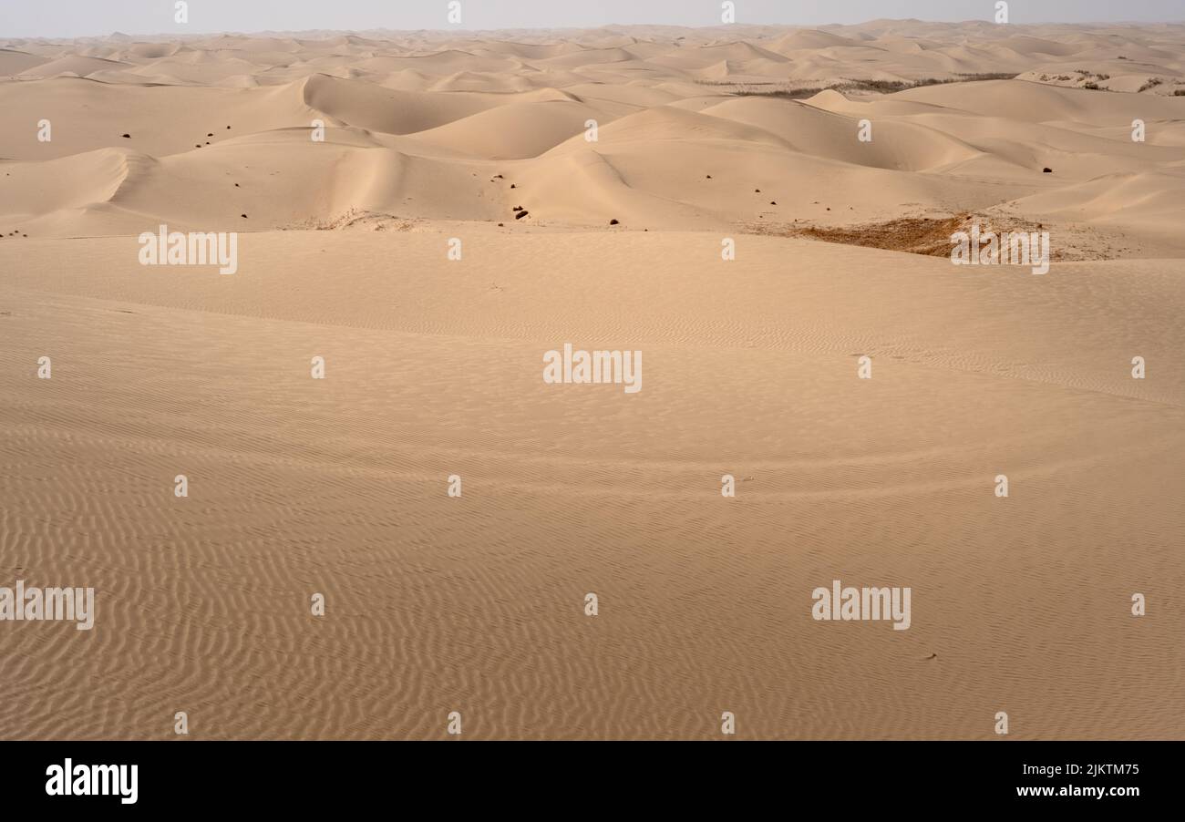 The beautiful landscape with dunes in the desert. Stock Photo