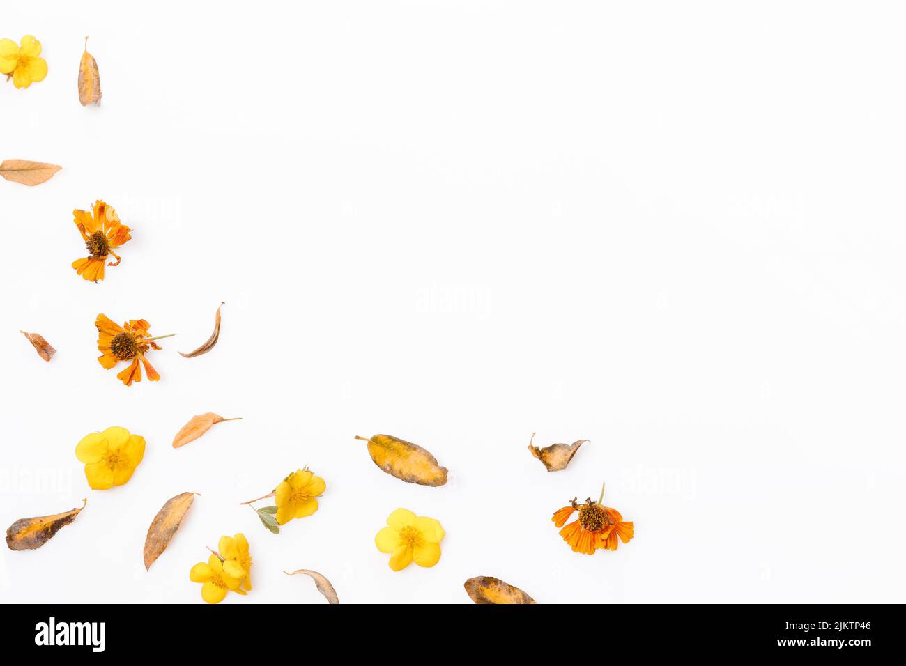 Flat lay composition with autumn leaves and space for text on white background Stock Photo