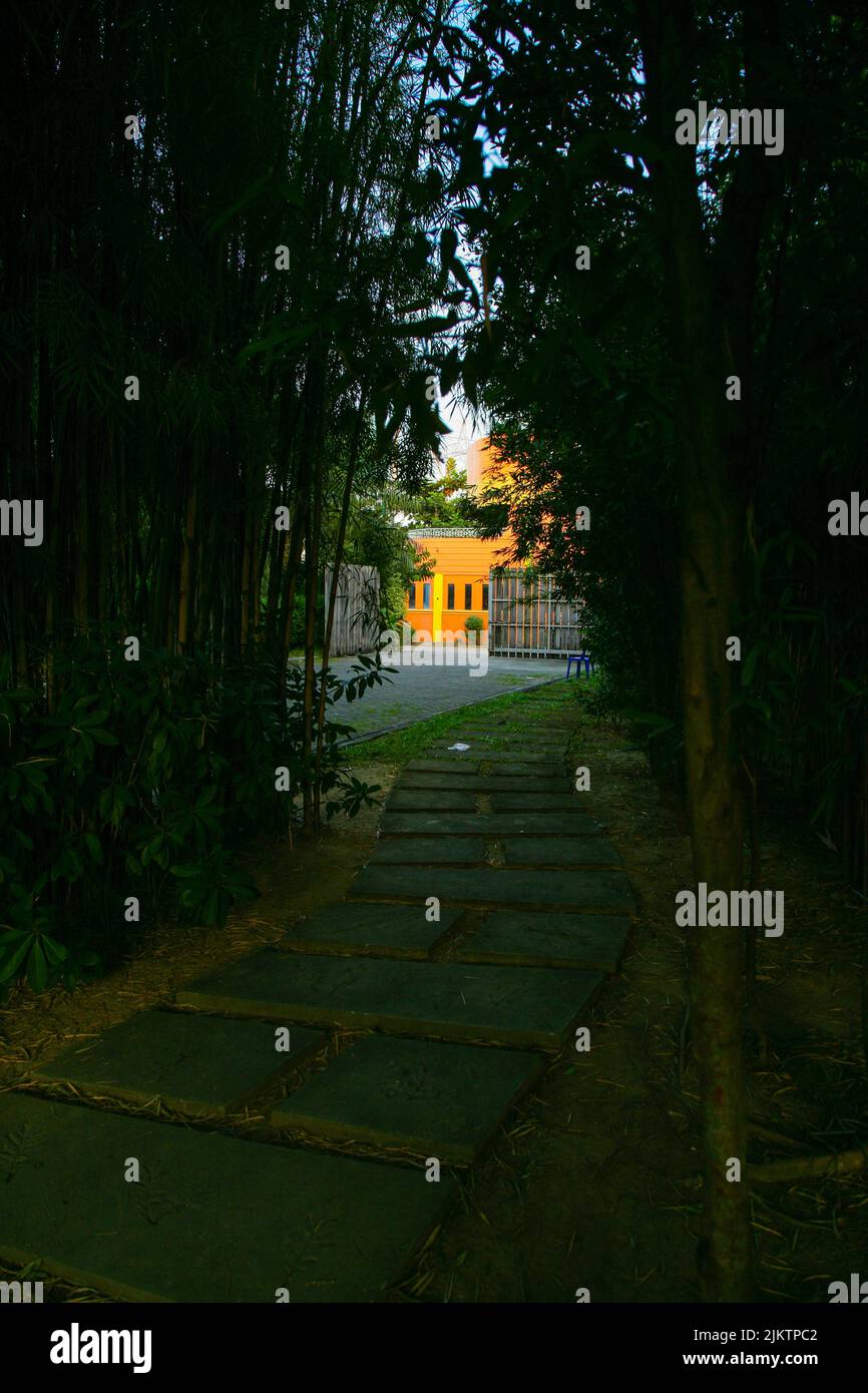 Dark pathway hi-res stock photography and images - Alamy