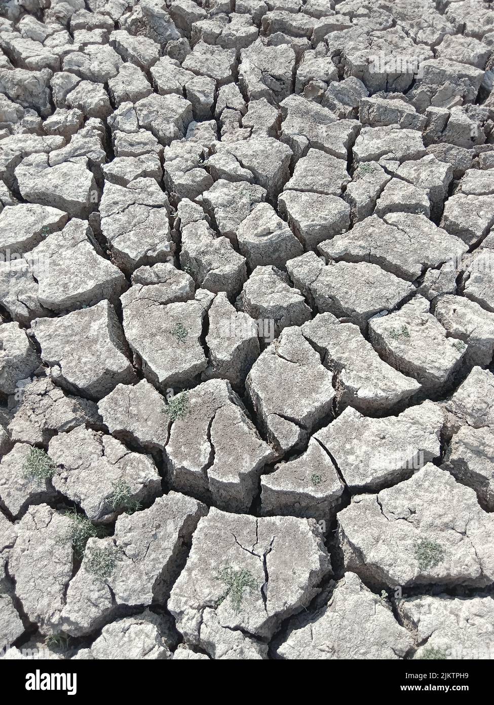 A vertical shot of cracked dry earth Stock Photo