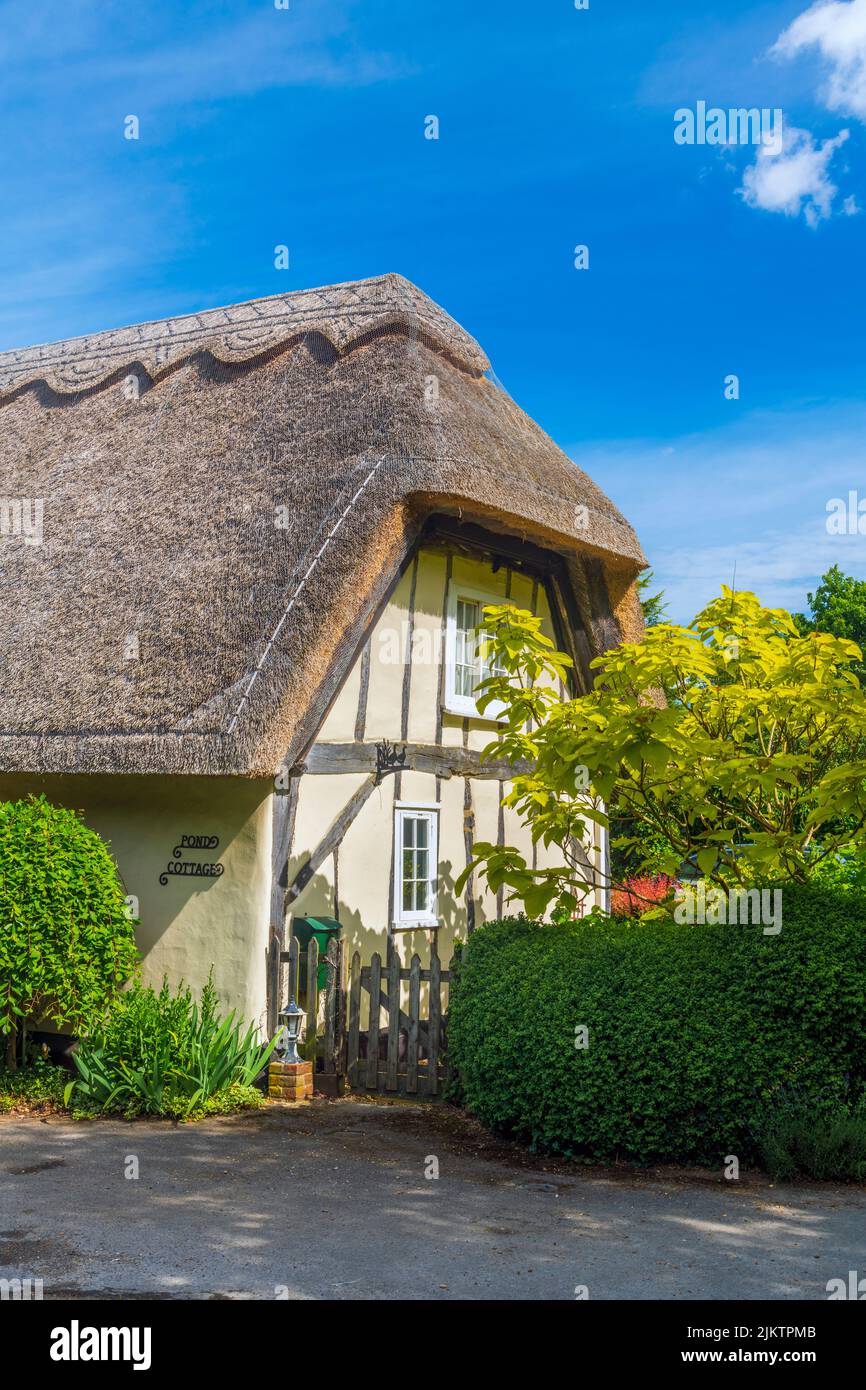UK, England, Cambridgeshire, Wennington, Traditional thatched cottage Stock Photo