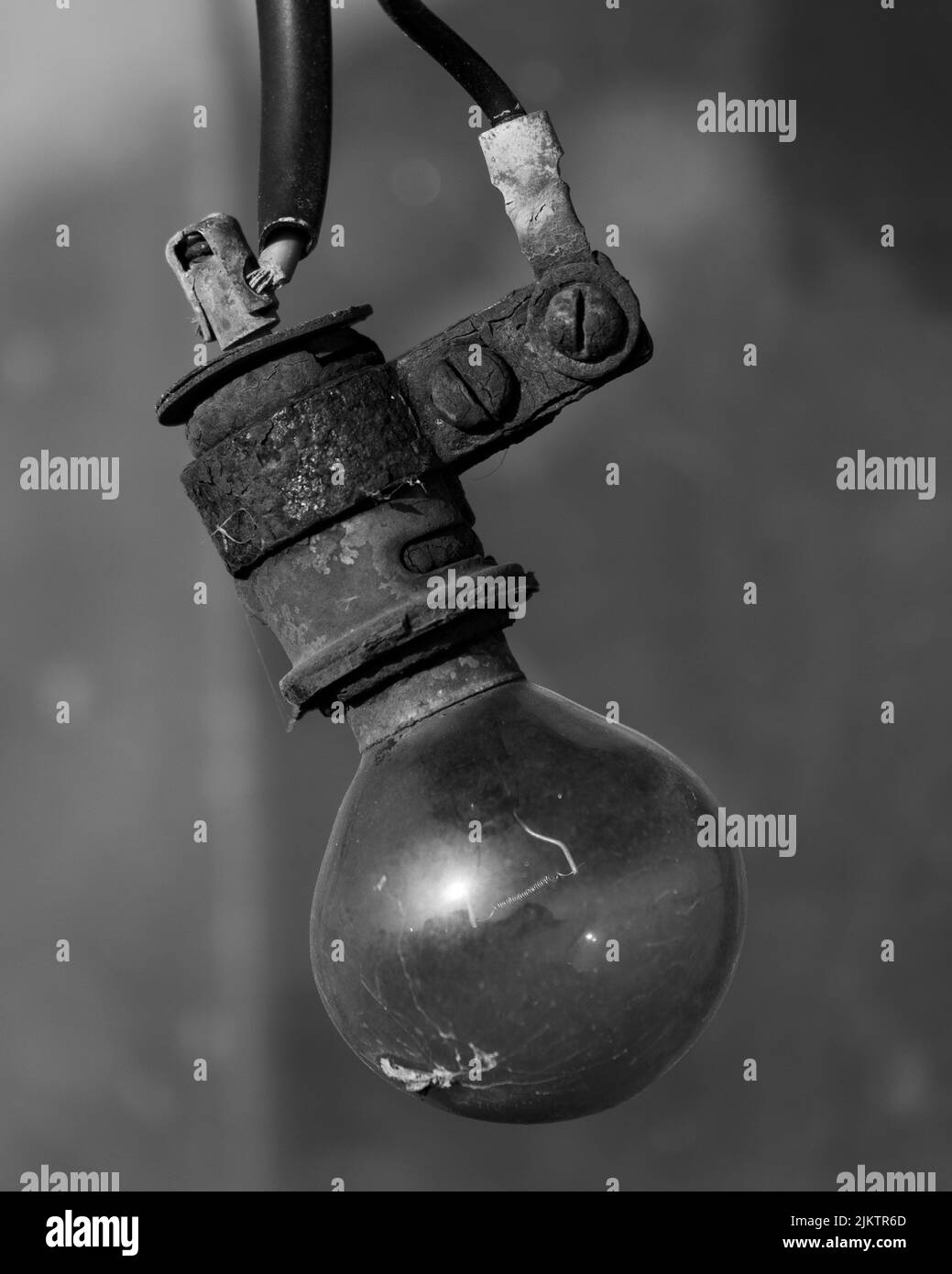 A grayscale of an old light bulb Stock Photo Alamy