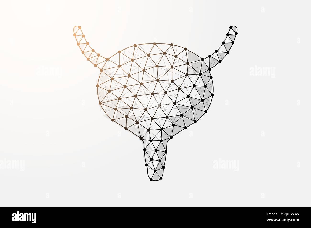Bladder 3d low poly symbol with connected dots. Reproductive system ...