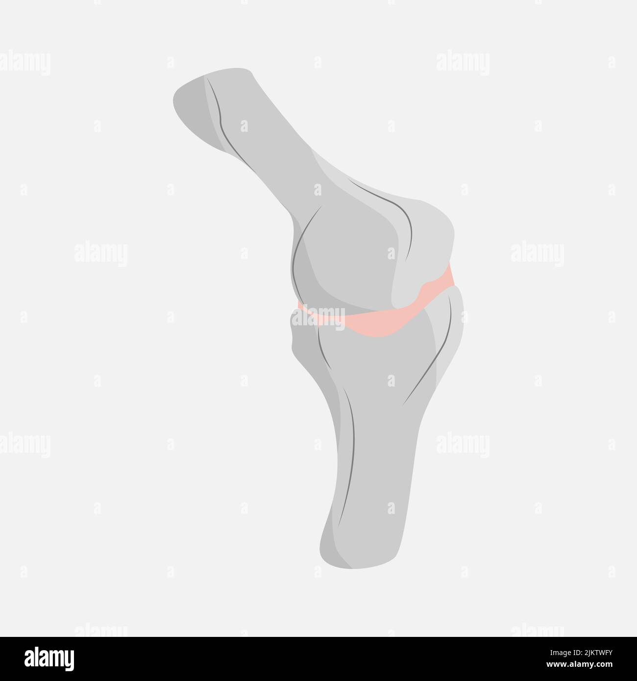Icon joining bones on a white background Stock Vector