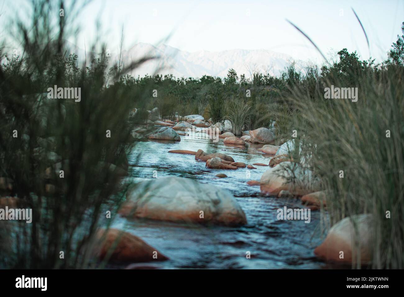 A beautiful view of a river in the forest Stock Photo - Alamy