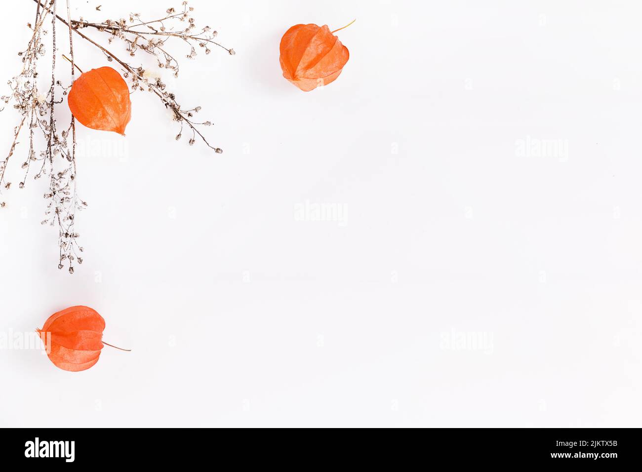 Autumn composition made of orange physalis and dry autumn twigs on white background. Autumn, fall concept Stock Photo