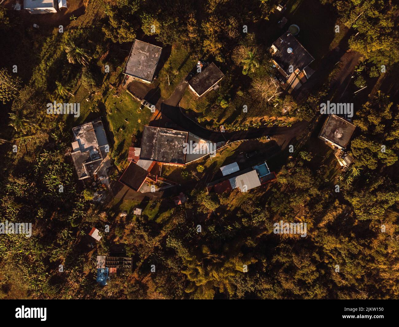 An aerial view of rural houses surrounded by trees Stock Photo - Alamy