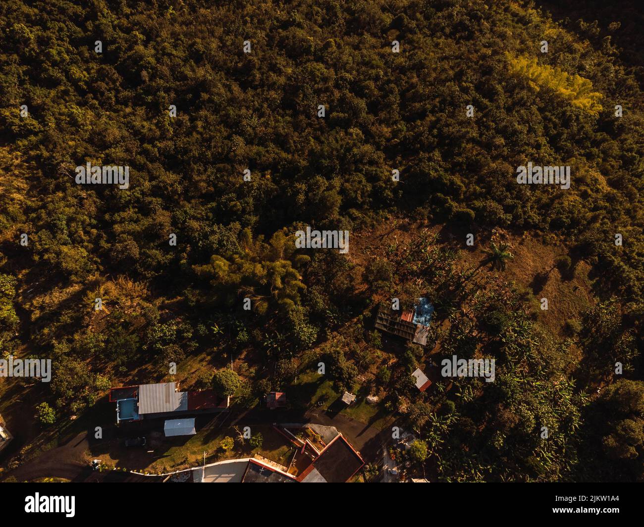 An aerial view of rural houses surrounded by dense trees Stock Photo ...