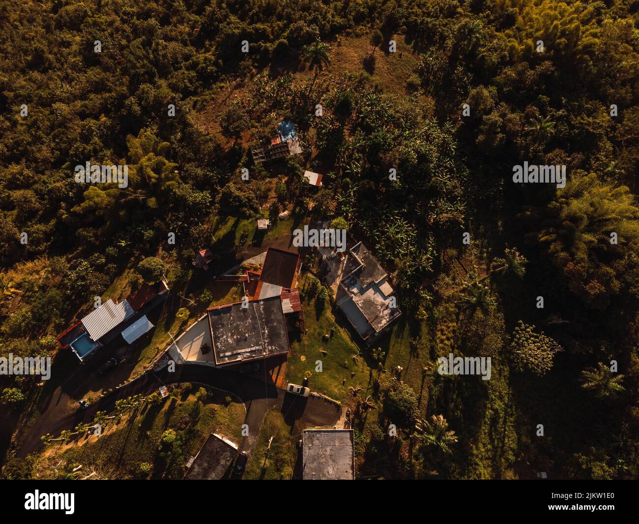 An aerial view of rural houses surrounded by trees Stock Photo - Alamy