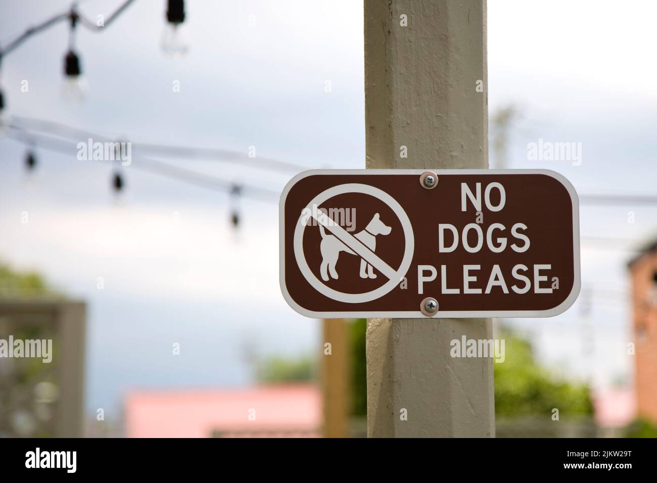 No dog sign at the beach. Stock Photo