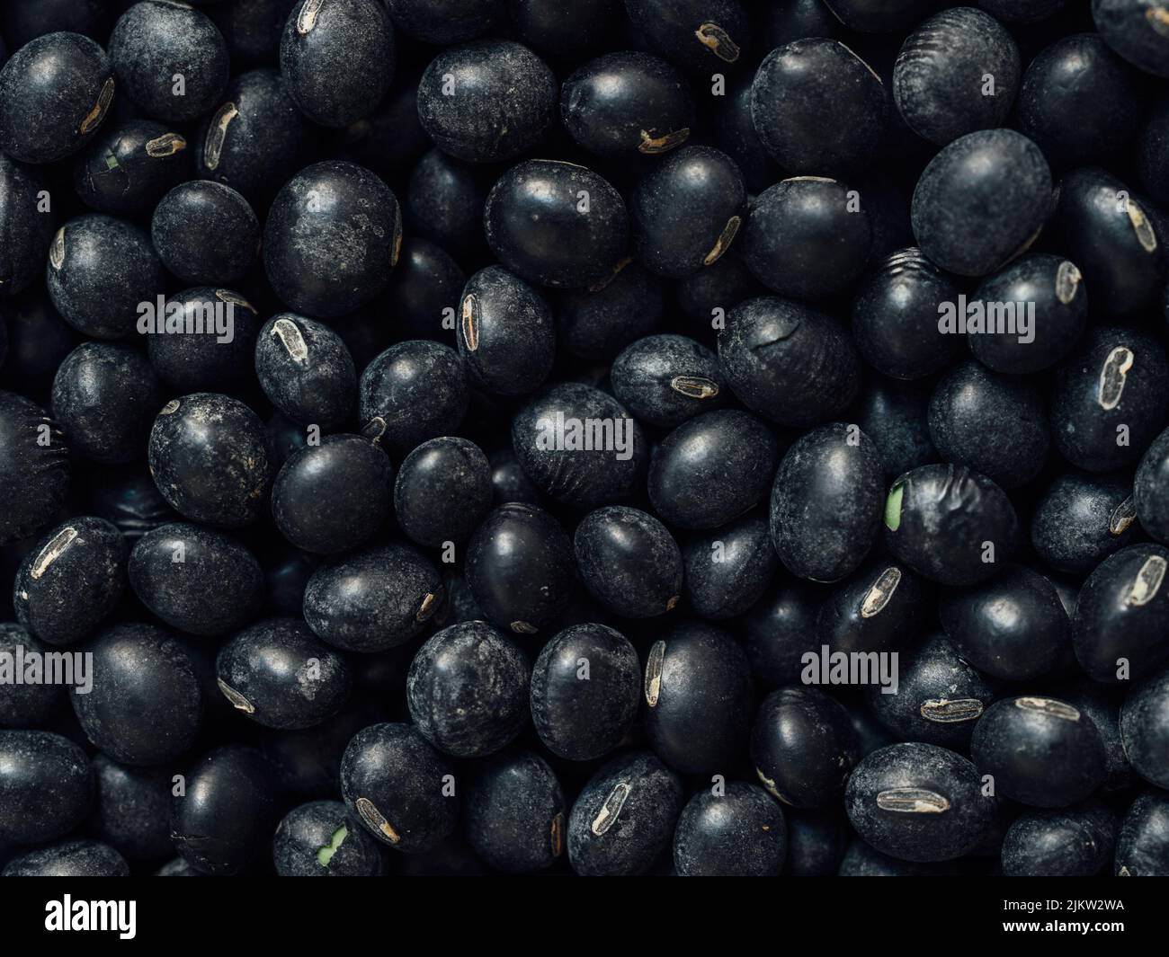 A top view of black soybeans laid flat on a surface Stock Photo Alamy
