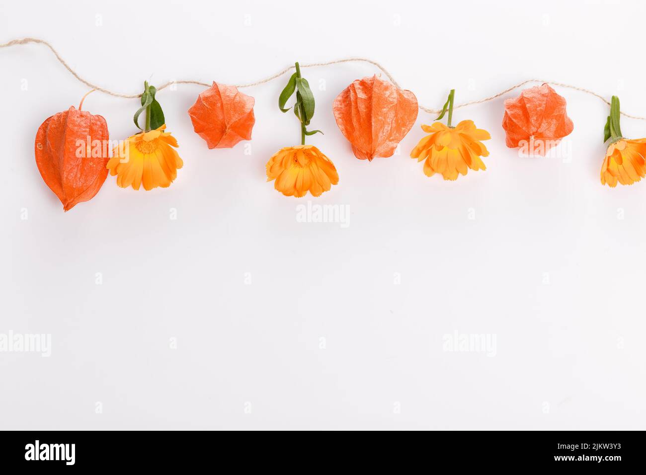 Autumn composition made of orange physalis and ball of twine on white background. Autumn, fall concept Stock Photo