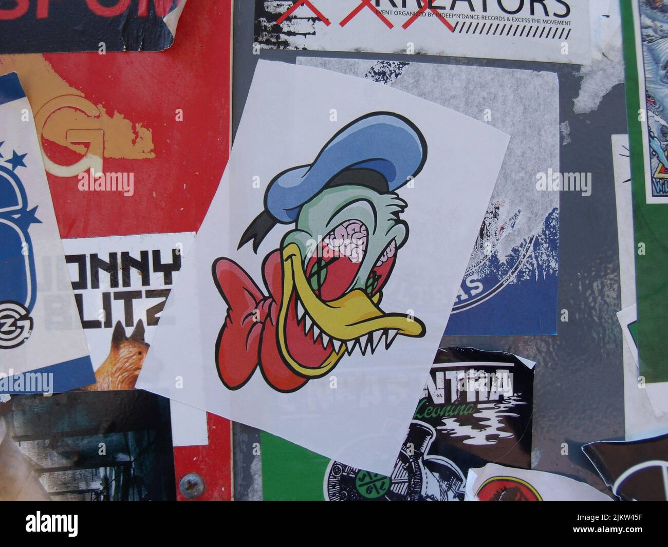 Duck sticker hi-res stock photography and images - Alamy