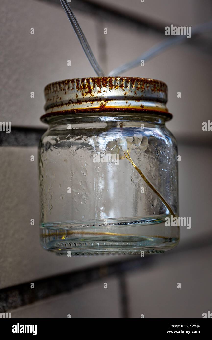 A vertical shot of an old glass bottle jar hanging outdoors Stock Photo