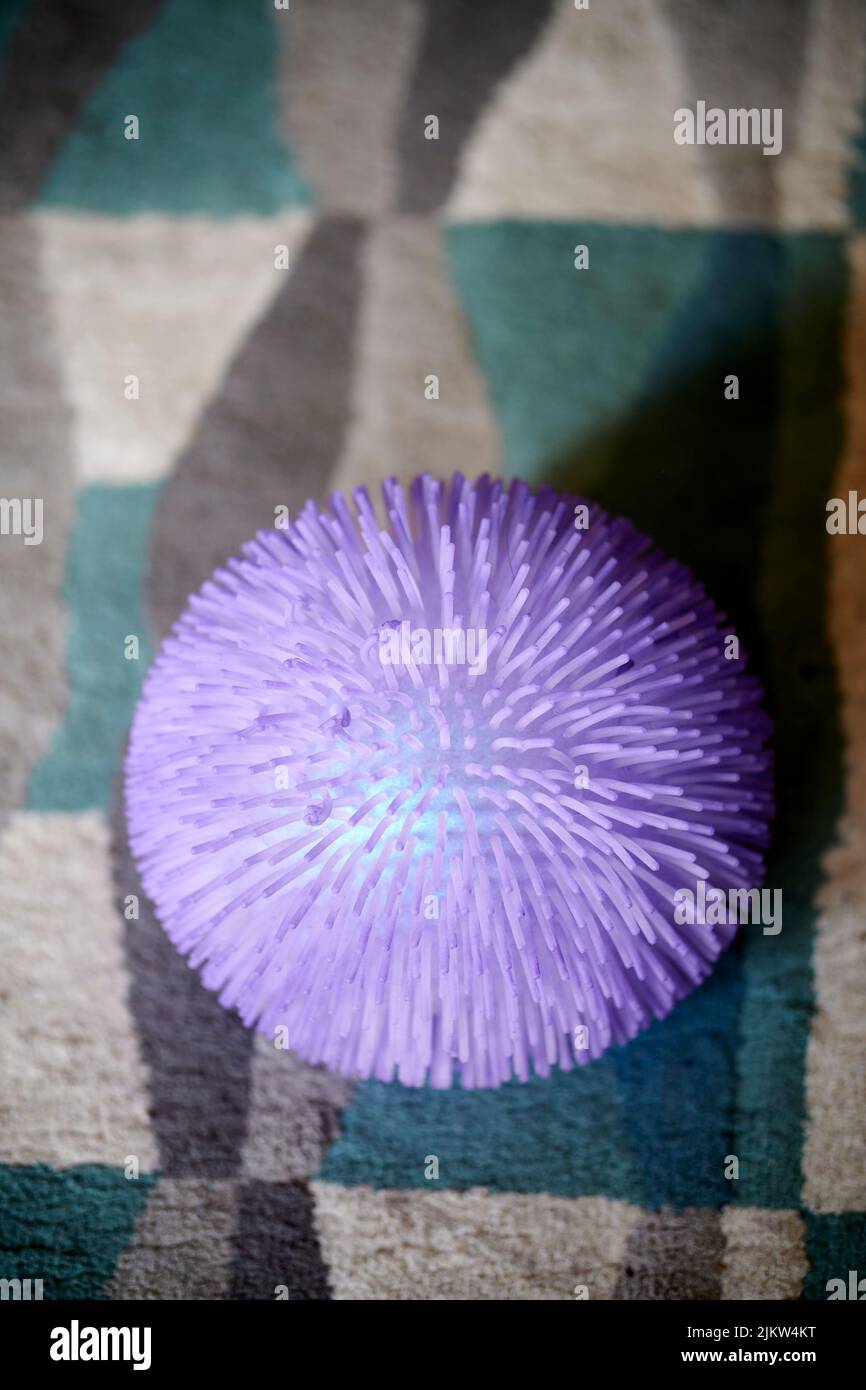 A vertical shot of a purple plastic furry play ball on a carpet Stock Photo