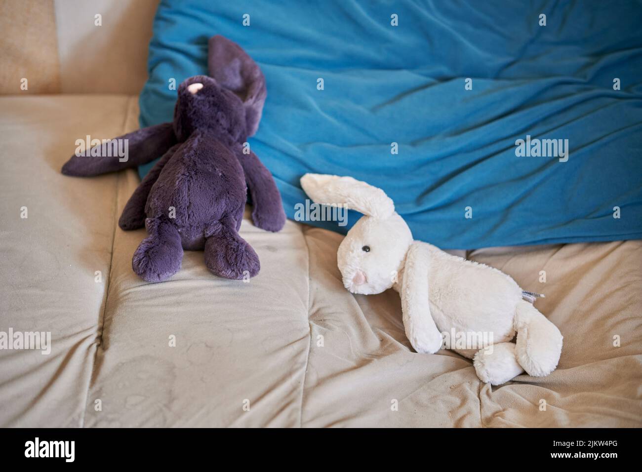 Two branded plush rabbits laying on a sofa with a pillow Stock Photo ...