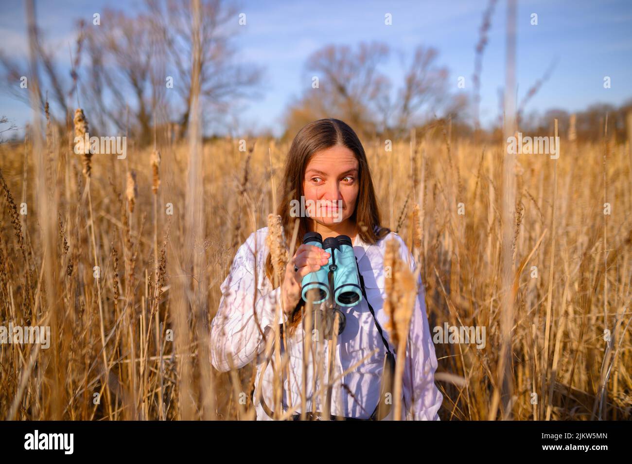 Woman looking at the to the side, with a confused expression, with blue binoculars standing in a field of cat tails in a marsh during the day. Stock Photo