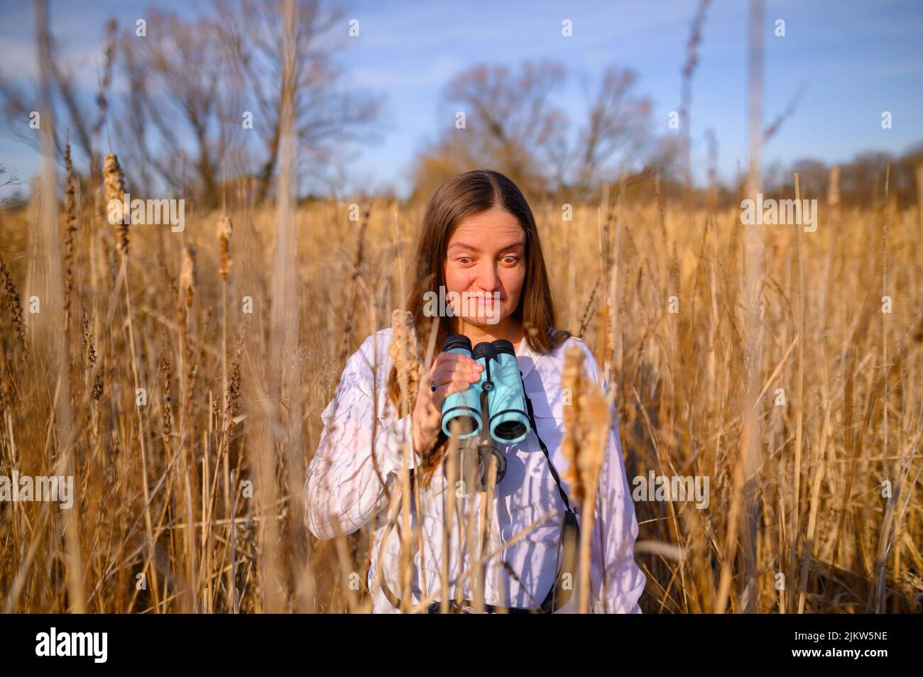 Woman looking at the to the side, with a confused expression, with blue binoculars standing in a field of cat tails in a marsh during the day. Stock Photo