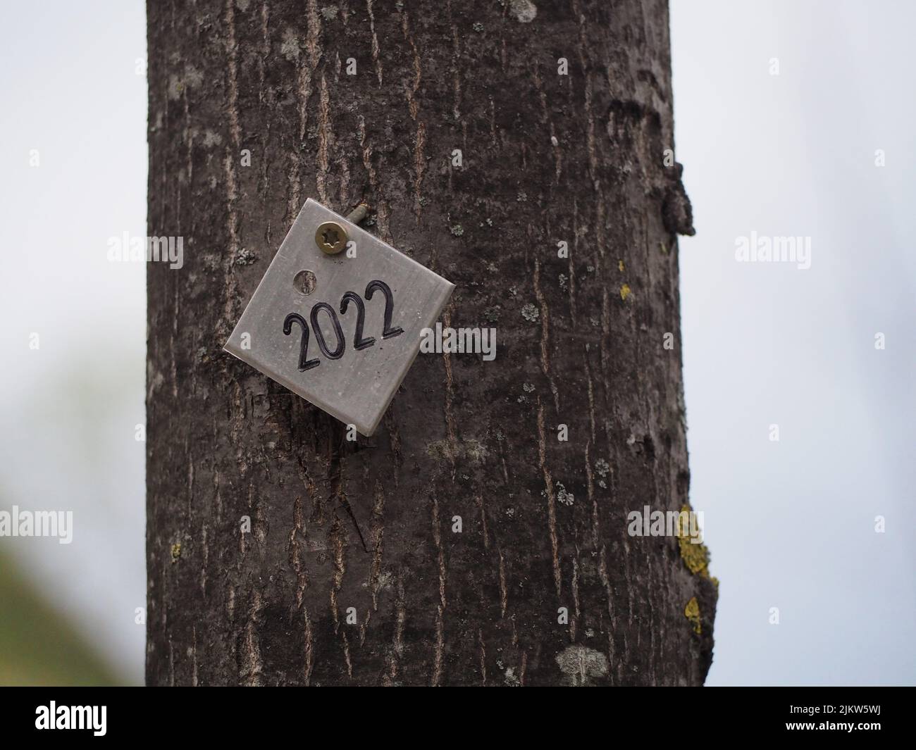 A closeup of the 2022 number written on the white piece of a square hanging on the tree stem Stock Photo