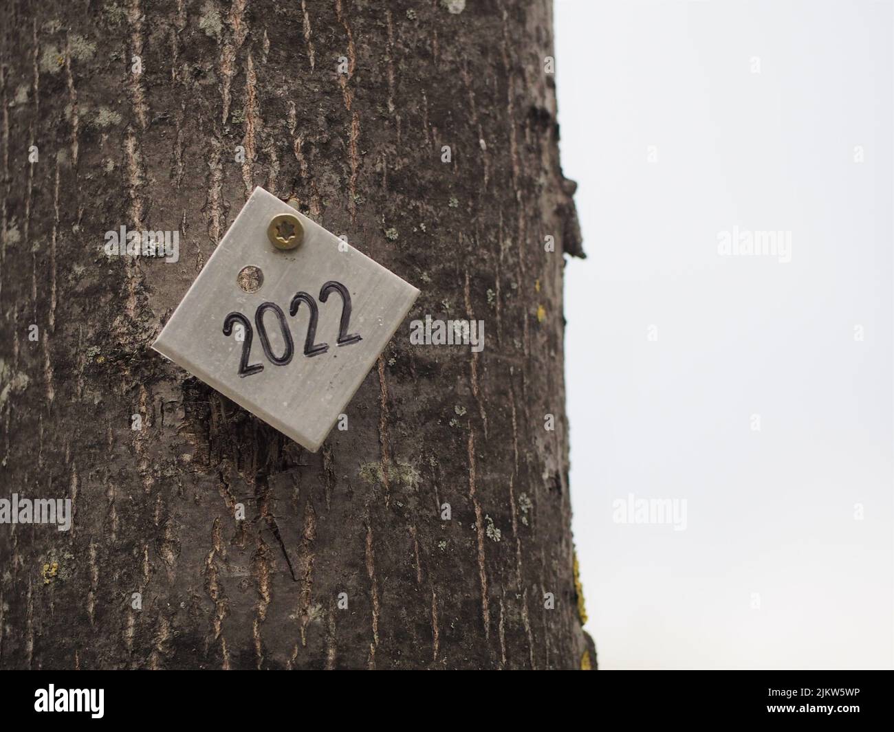 A closeup of a rectangular white piece with a written 2022 number attached to the tree stem Stock Photo