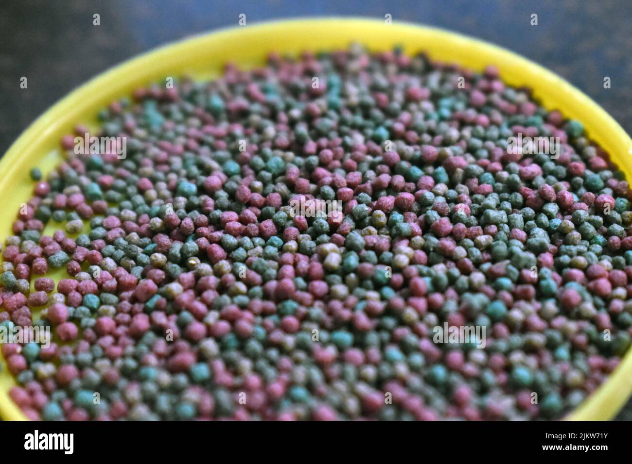 Pets at home fish hires stock photography and images Alamy