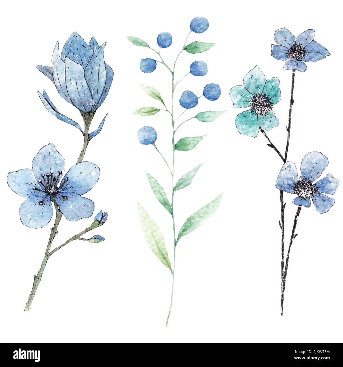 Blue flower drawing hi-res stock photography and images - Alamy